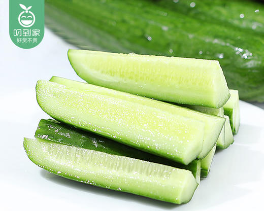 山东新鲜水果黄瓜/1份（约700g） 商品图3