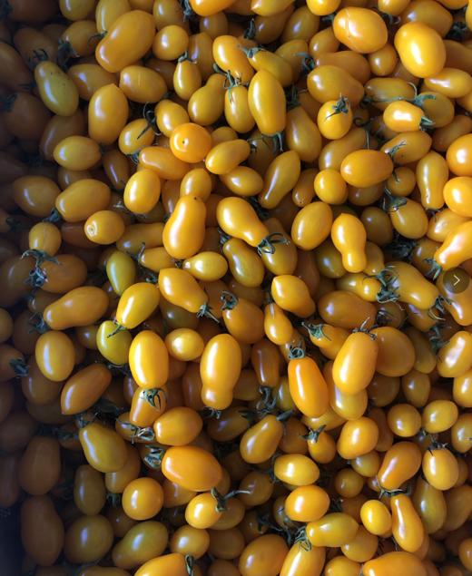 黄花生小柿子 500g 商品图0