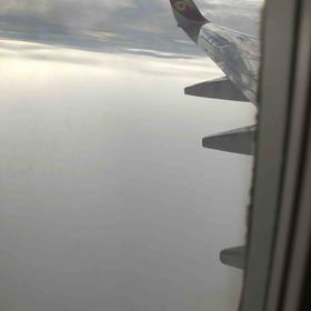 烧鸡电子卡券0001