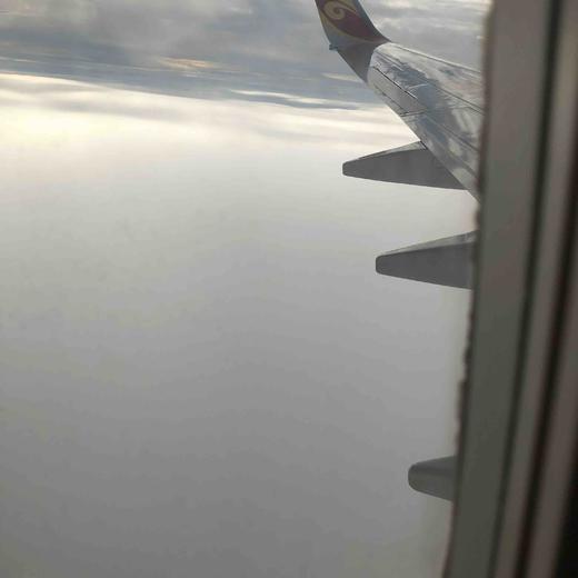 烧鸡电子卡券0001 商品图0