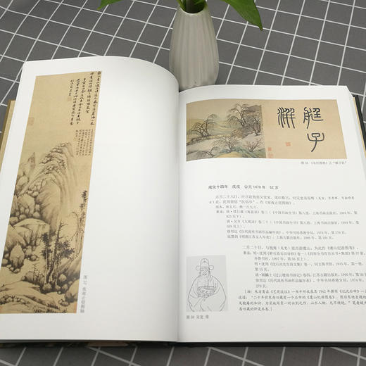 沈周绘画作品编年图录 书法国画绘画书画集 写意山水花鸟鱼虫画集 中国古代历代精品集 作品集 商品图2