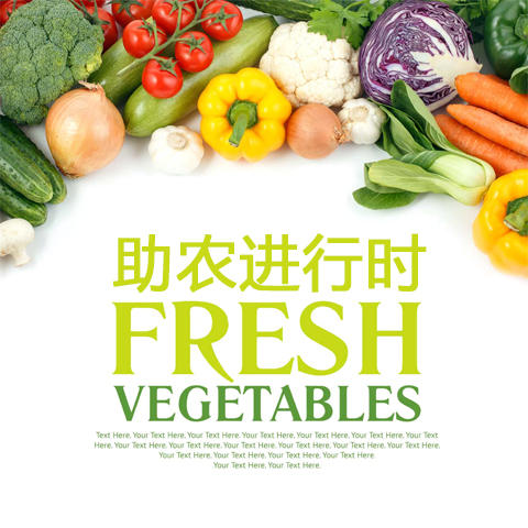 27度农品牌武定扶贫有机蔬菜组合包（实际会有种类偏差，希望理解） 商品图0