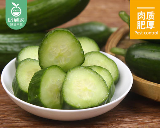 山东新鲜水果黄瓜/1份（约700g） 商品图6