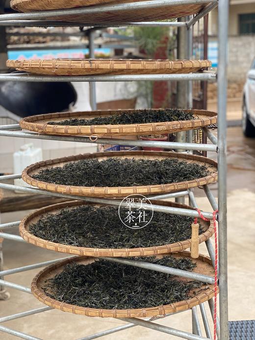 2021【磨烈龙珠】临沧贡茶，兼具勐库东、西半山的口感！ 商品图11