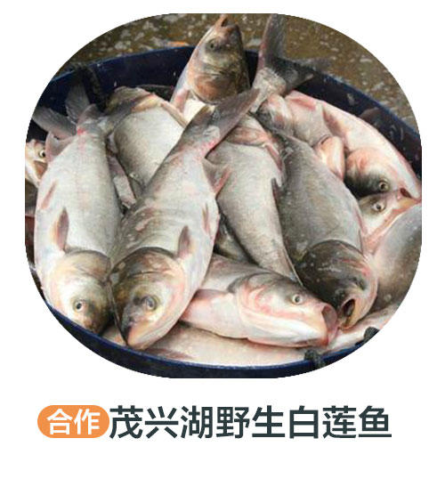 茂兴湖野生白连鱼 商品图0