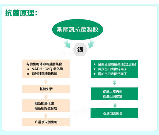 【医院同款】斯丽凯原纳米银离子抗菌凝胶30g 官方正品 商品图5