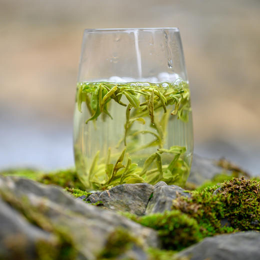 山水寻味东裕茗茶雨前汉中仙毫茶叶绿茶200g