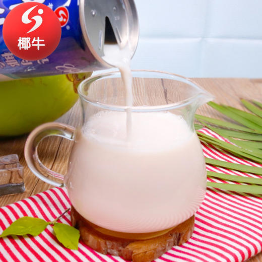 椰牛果肉椰汁245ml24罐装植物蛋白海南椰子汁饮料饮品味