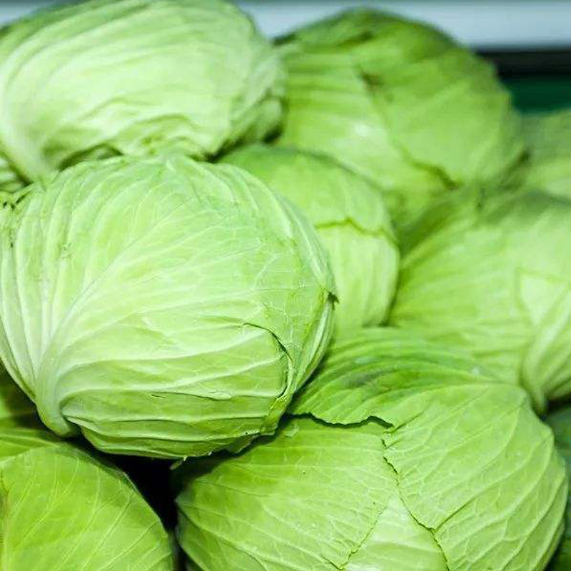 双河：驻村帮扶“搭桥铺路” 助农增收跑出“加速度”