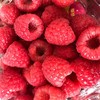 水果浆果【怡颗莓红树莓】鲜美 商品缩略图3