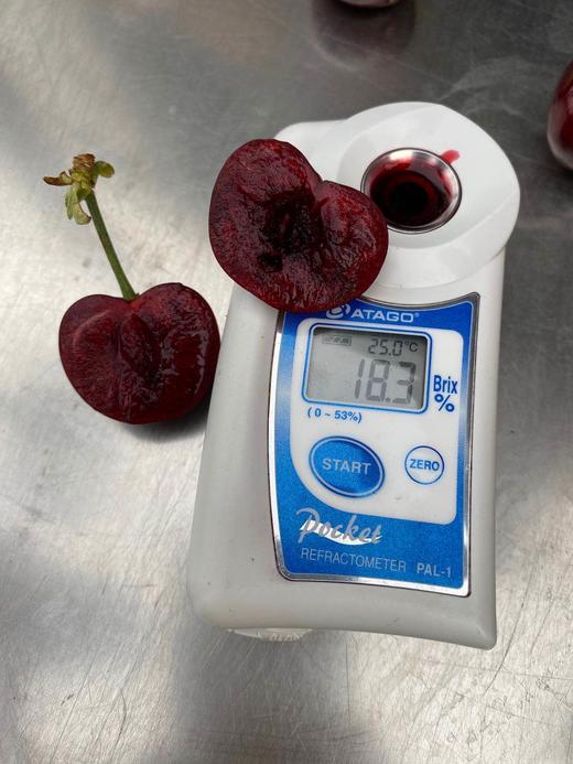 周四取货：【大连6A樱桃】一份1斤左右，美味可口，酸甜多汁，个头大，肉质鲜嫩！ 商品图5