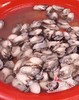 新鲜生蚝 商品缩略图0