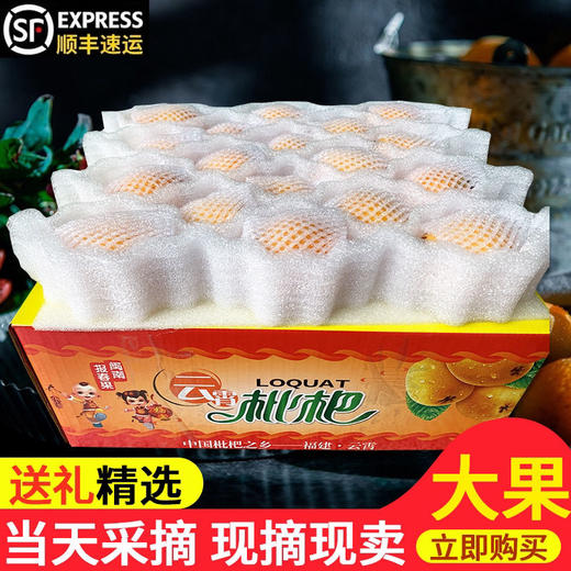 云霄枇杷2500g 商品图1