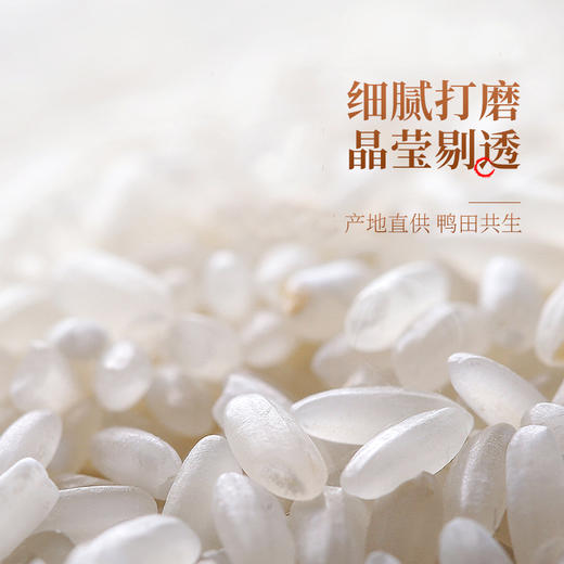 稻鸭野香王 5kg 商品图1