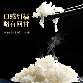 稻鸭野香王 5kg