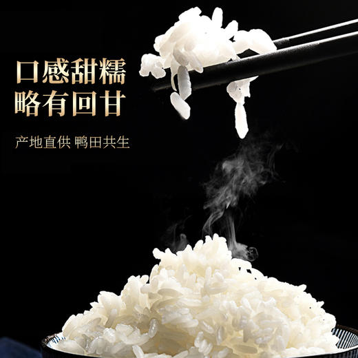 稻鸭野香王 5kg 商品图0