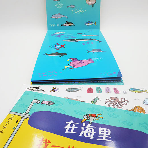 在山上+在海里 2米长折叠书 3-6岁儿童 130枚贴纸 地理春夏秋冬四季植物动物 科普小册子 雅众童书 精装 商品图5