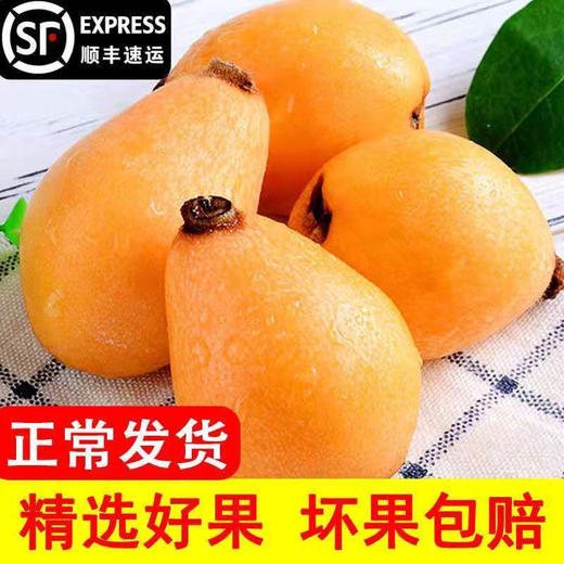 云霄枇杷2500g 商品图2