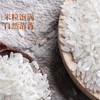 稻鸭野香王 5kg 商品缩略图2