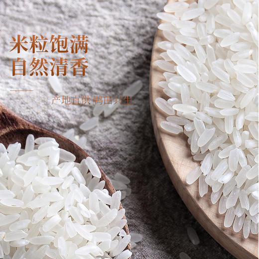 稻鸭野香王 5kg 商品图2