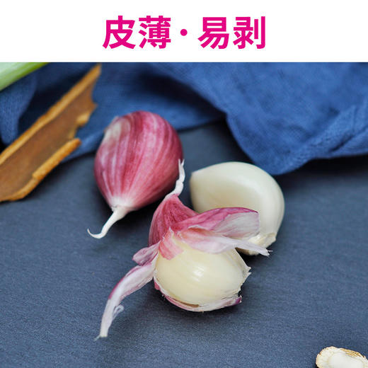 紫皮大蒜头新鲜干蒜5斤红衣蒜头干蒜瓣10干红新蒜头云南新鲜大蒜