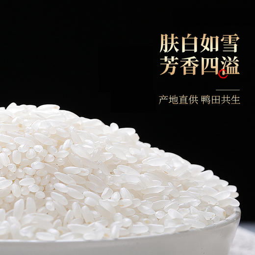 稻鸭野香王 5kg 商品图3