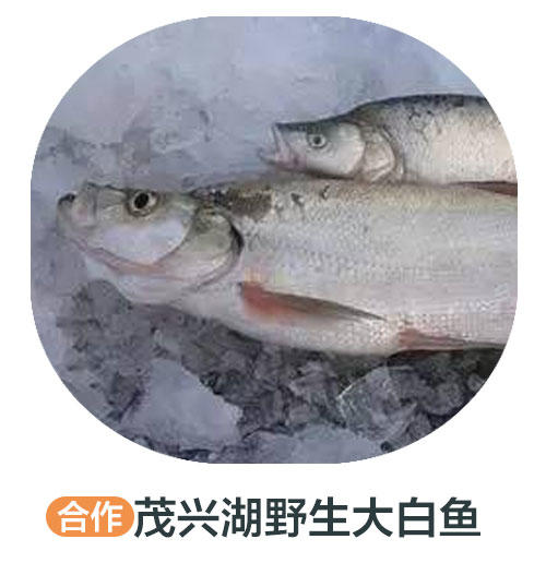 茂兴湖野生大白鱼（冻） 商品图0