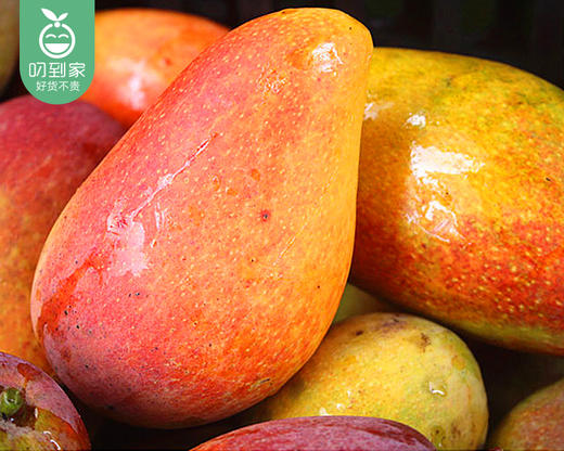 空运海南树熟贵妃芒（750g±50g/盒） 商品图1