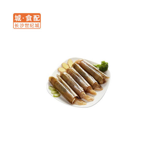 鲜活圣子王约500g