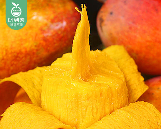 空运海南树熟贵妃芒（750g±50g/盒） 商品图4