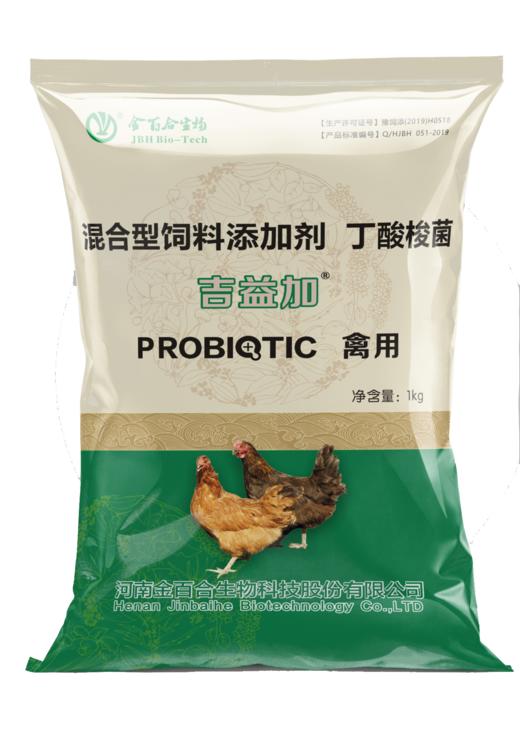 吉益加 商品图1