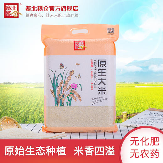 塞北粮仓原生大米5kg 东北稻花香2号真空家庭装做饭煮粥寿司粳米 商品图1