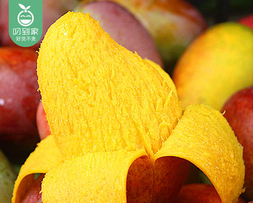 空运海南树熟贵妃芒（750g±50g/盒） 商品图3