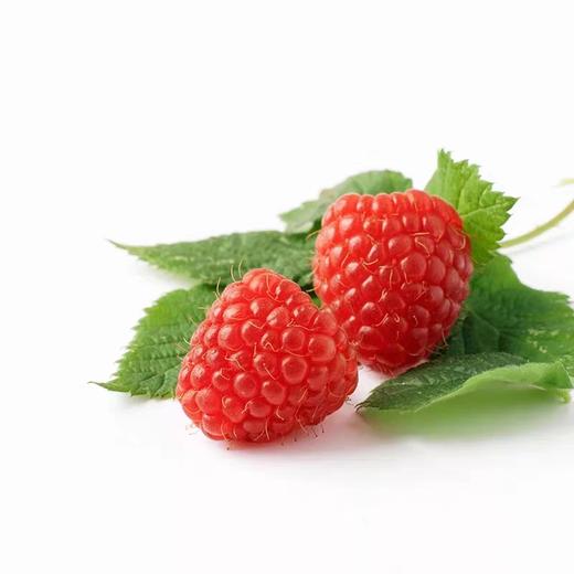 水果浆果【怡颗莓红树莓】鲜美 商品图1
