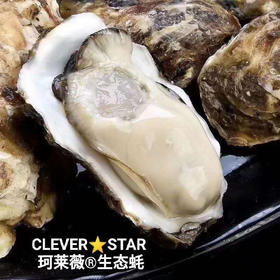 乳山生蚝2斤装