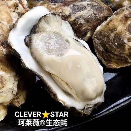 乳山生蚝2斤装 商品图0