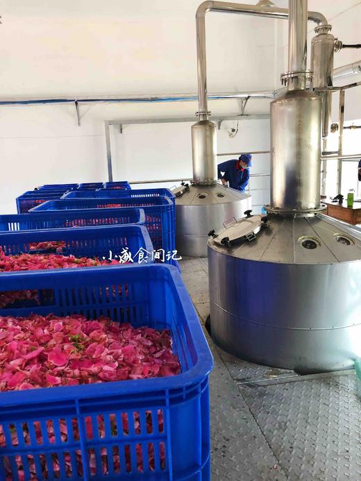 纯玫瑰精油（去脂后纯精油） 商品图3