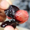 『云南夏黑葡萄』脆爽无核，高甜低酸，细嫩多汁，新鲜现摘 商品缩略图2