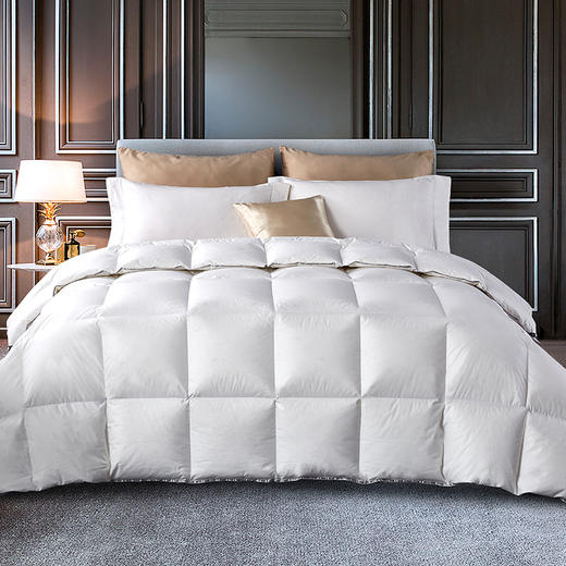 多伦多加拿大鹅绒春秋被／地暖被／冬被 商品图2