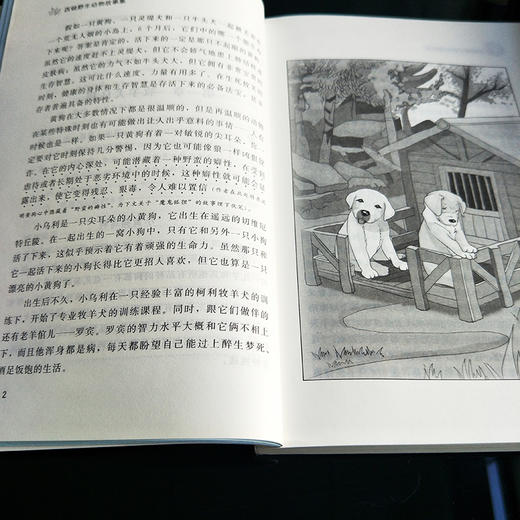 西顿野生动物故事集 商品图3