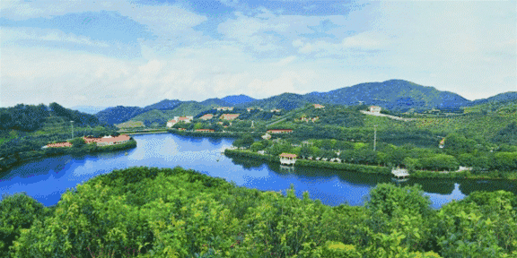 576_288gif 动态图 动图