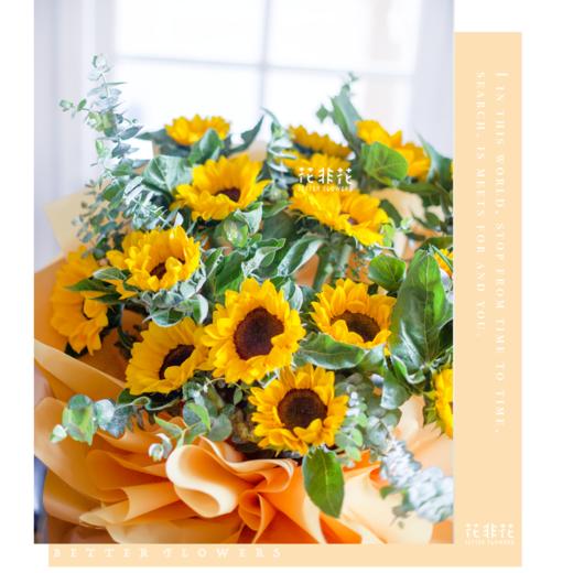 《一眼光辉》.巨型向日花束 商品图2