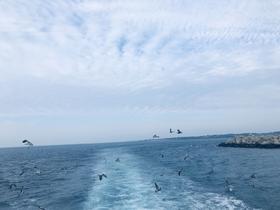 暗流普通商品-起售 3 件