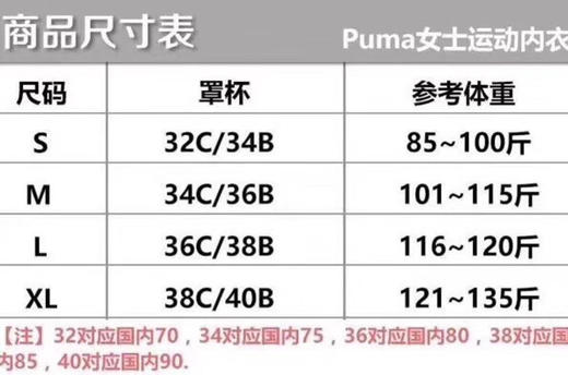 新出puma瑜伽运动内衣2件装