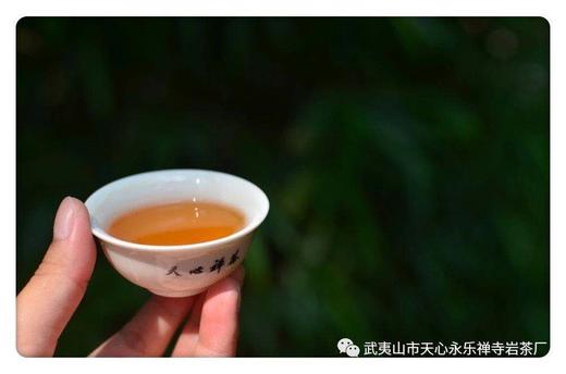 【武夷山天心永乐禅寺】 天心禅茶九品莲大红袍 武夷岩茶 商品图3