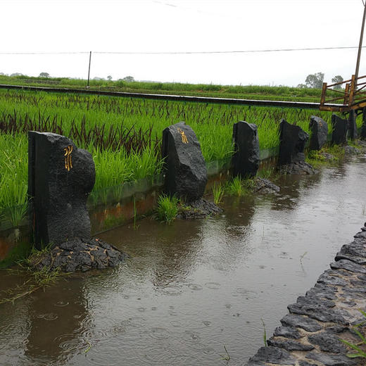 【拍10份送1份】火山石板岩生态有机米黑龙江响水种植区镜湖活水灌溉 商品图4