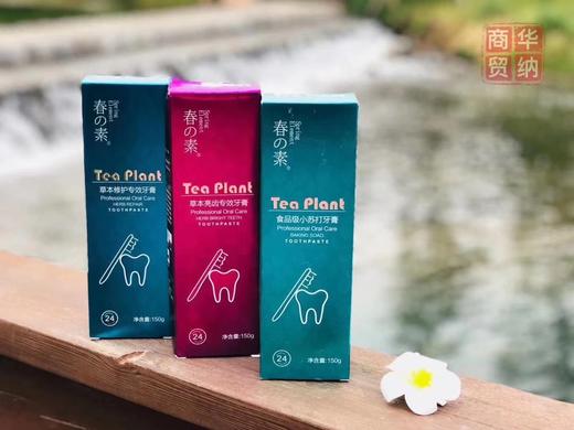 【清货】春素 草本专效牙膏(穆艾太尔)