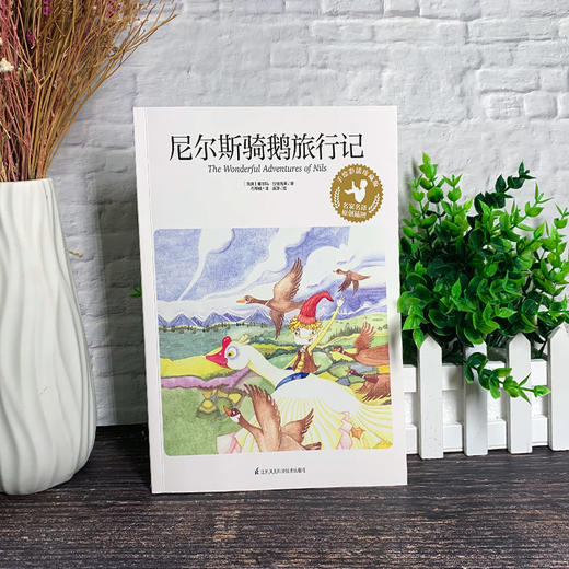 尼尔斯骑鹅旅行记 手绘彩插珍藏版 商品图2