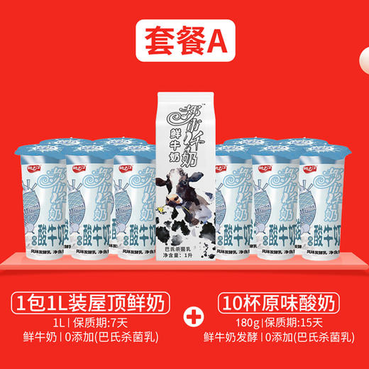 扬子江都市纤奶套餐a(1l屋顶包鲜奶 10杯原味酸奶)
