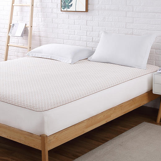 铜纤维抗菌呼吸款床护垫 商品图0